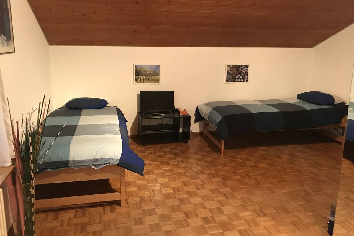 Un dormitorio con dos camas, un televisor y una mesita.