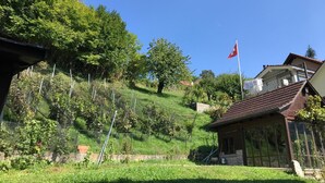 A rural setting with a house on a hill, a flag, and lush greenery. - Bed & Breakfast Obermumpf (Obermumpf)