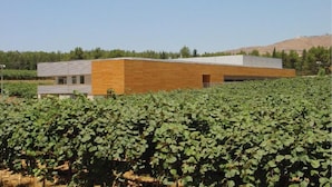 Garden - Serenity in the Mountains (HaGalil HaElyon)