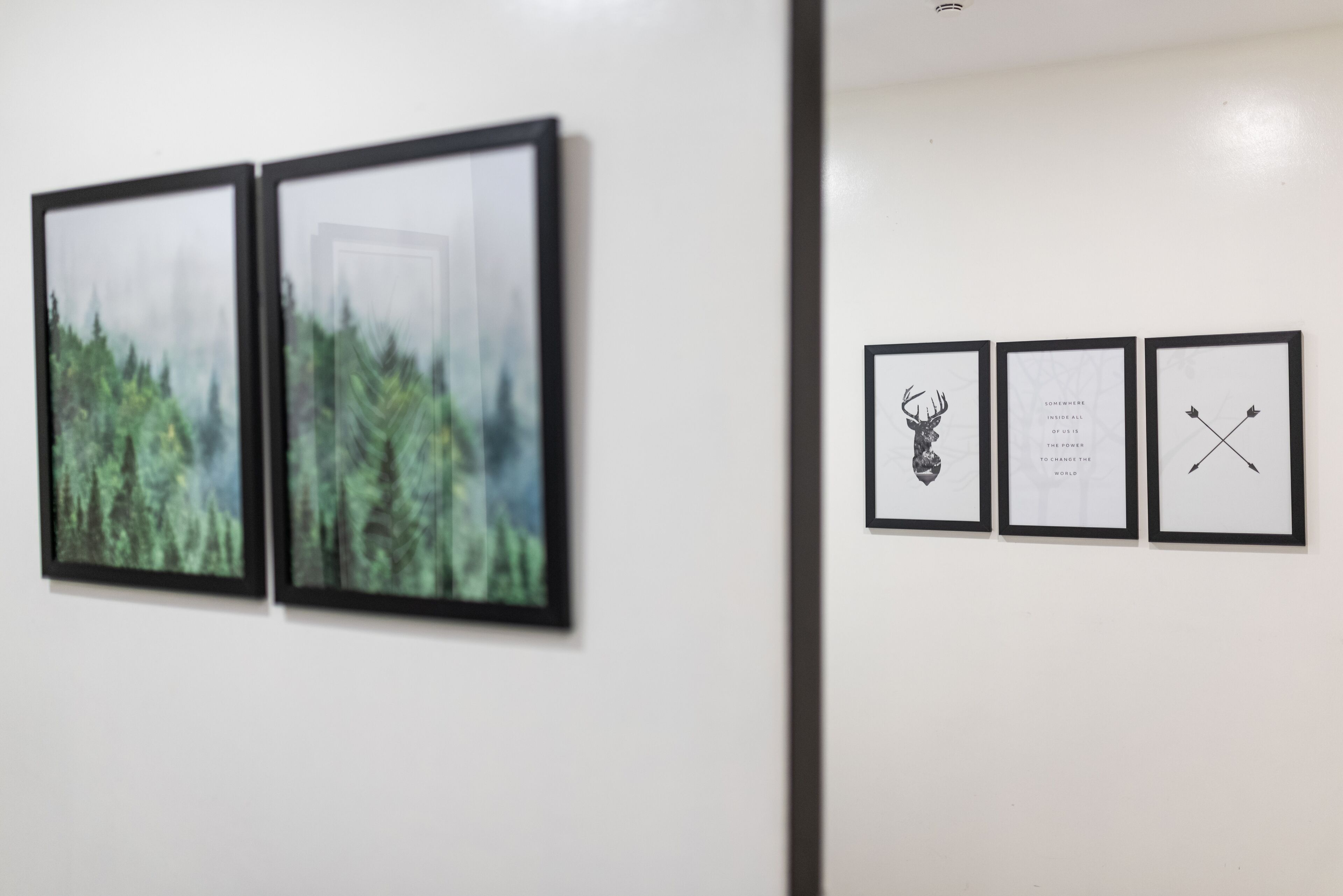 A gallery wall with framed artwork, including a forest scene and two animal prints.