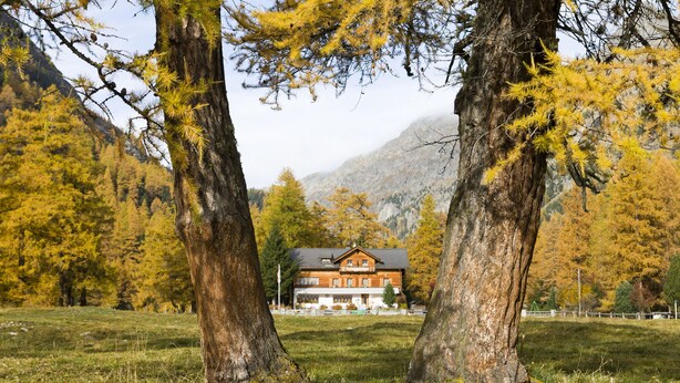 A lodge with a large wooden facade, surrounded by trees and a mountainous backdrop.