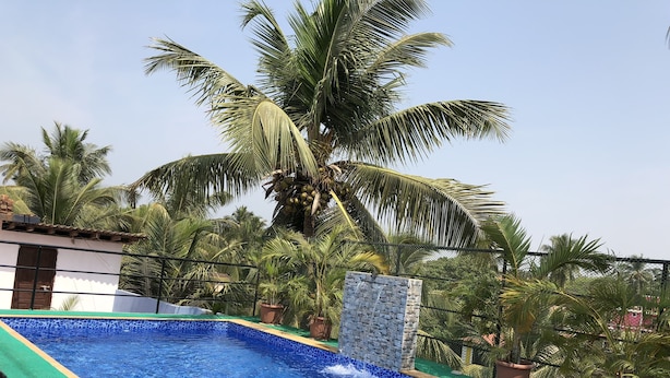 A swimming pool with a stone waterfall feature, surrounded by palm trees and potted plants. - Blue Marine Resort (Calangute)