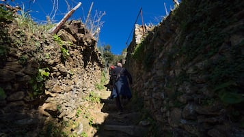 Hiking