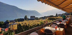 Terraza con mesas y sillas con vista a un lago y montañas.