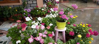 Galaxy Inn Guest House