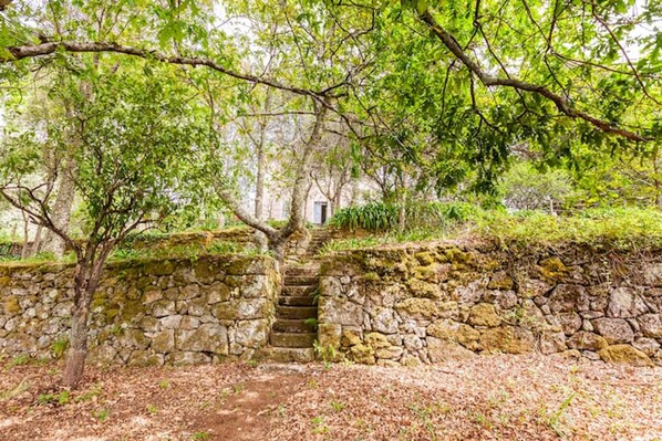 A stone staircase leading up to a building, surrounded by trees and foliage. - Casa do Cabeço (Tondela)