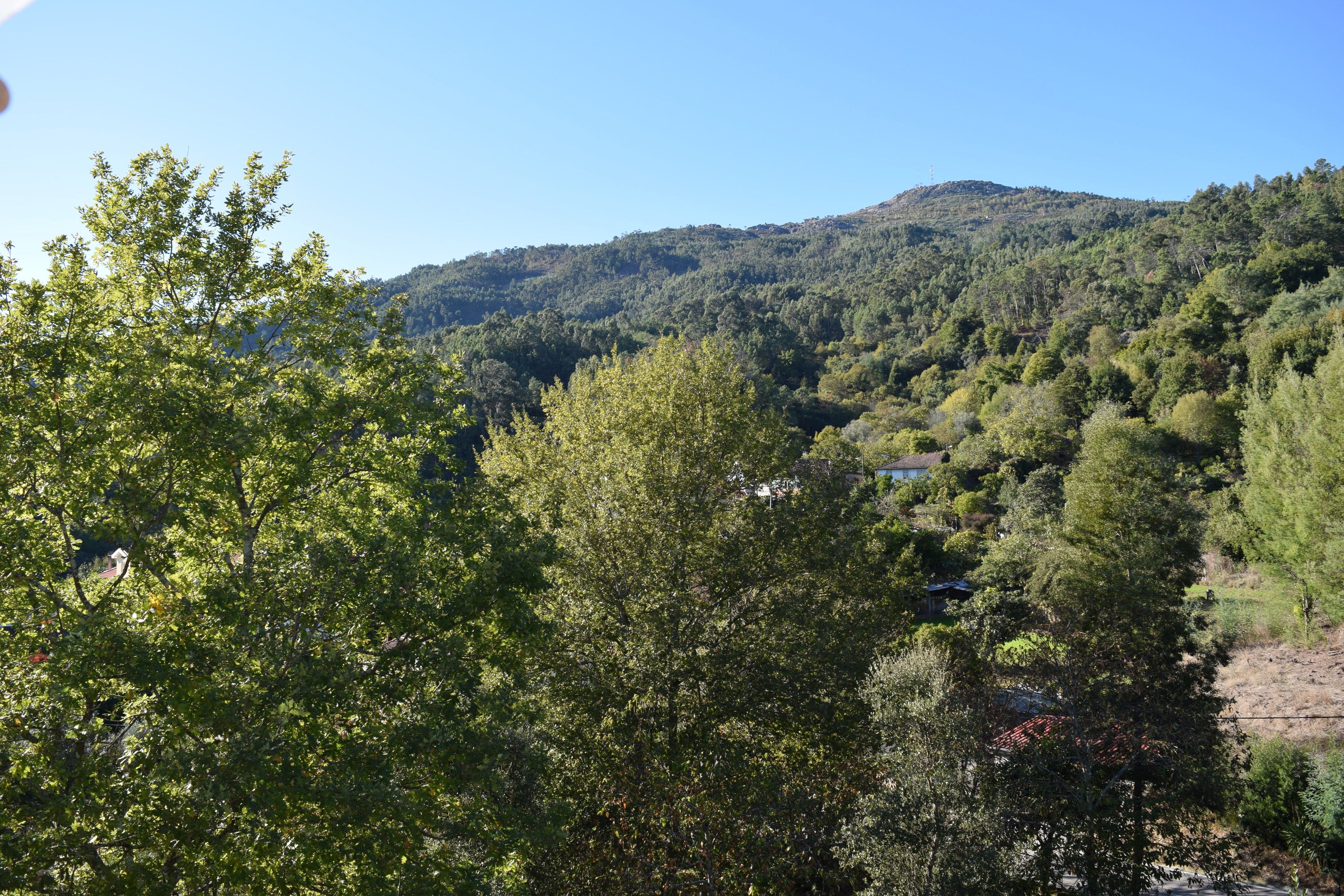 Un paysage montagneux, avec une forêt dense et quelques bâtiments dispersés.