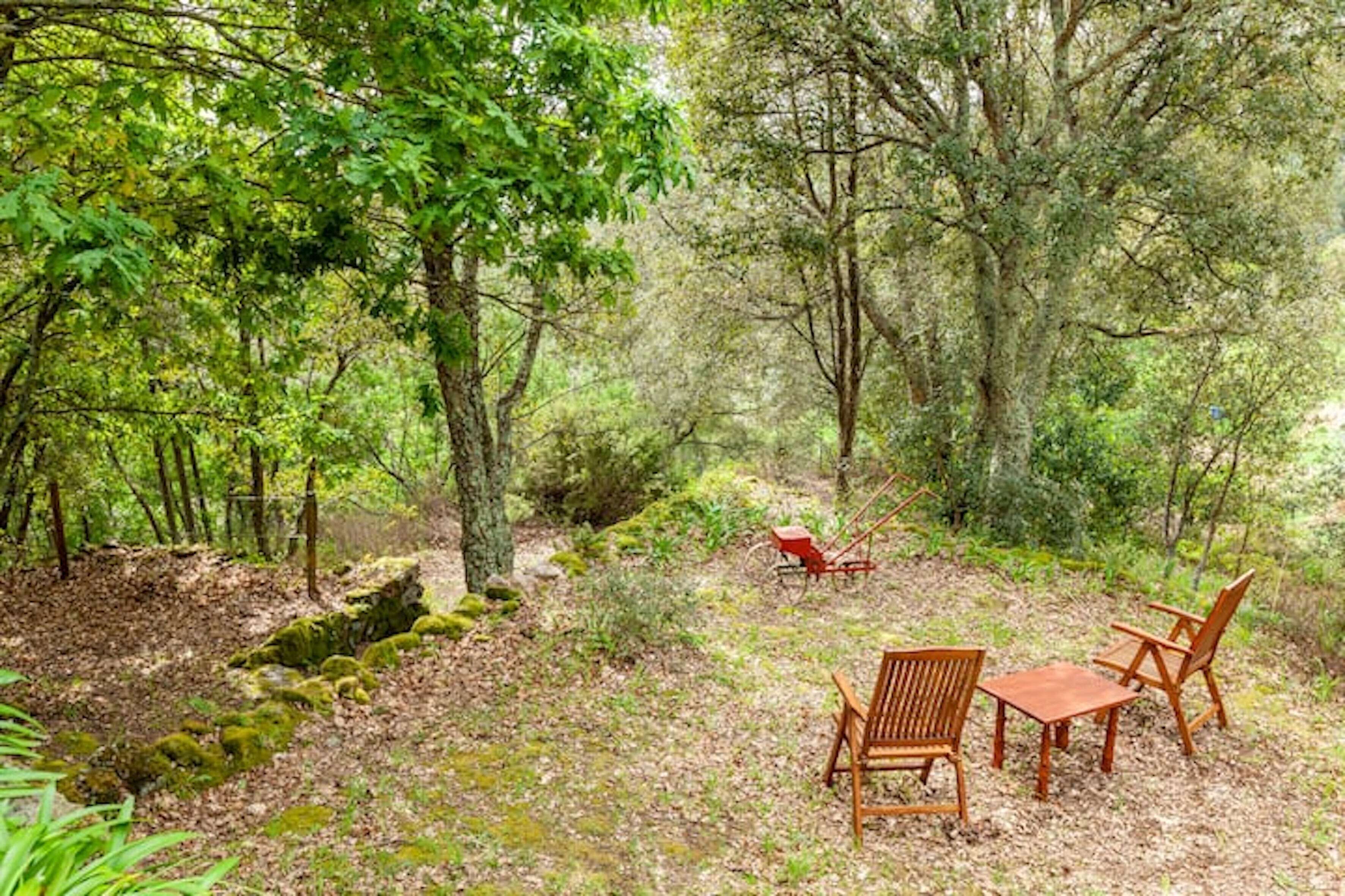 Un claro en el bosque con una mesa y sillas de madera, rodeado de árboles y un tractor rojo.