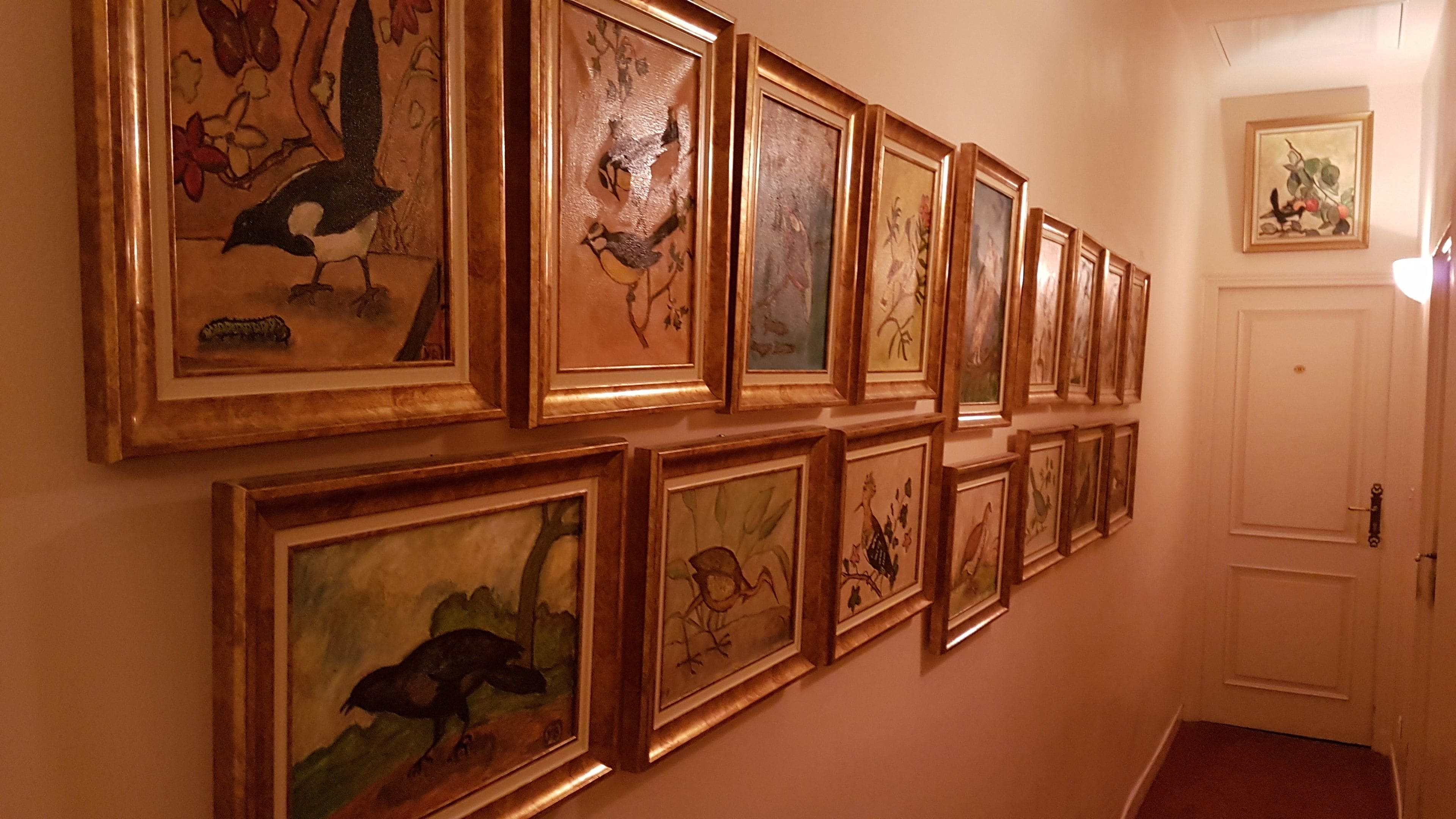 Accommodatievoorziening