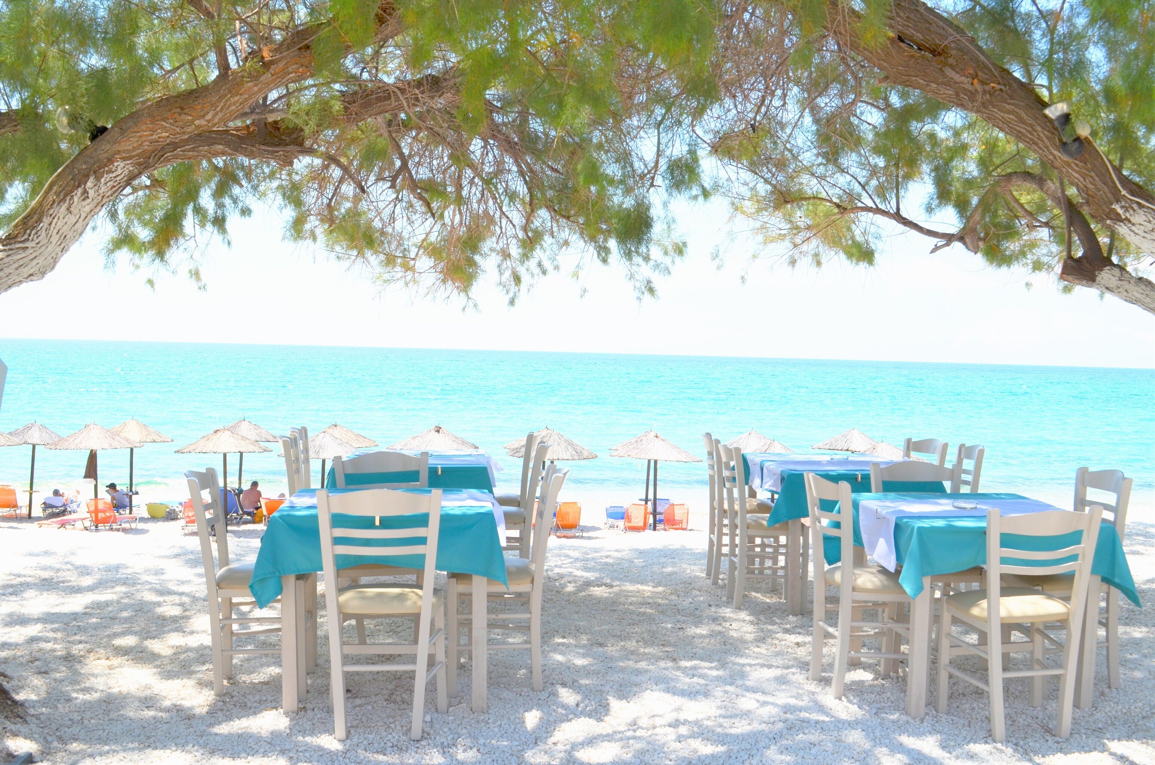 Een restaurant aan het strand met tafels en stoelen onder een boom, met uitzicht op de zee.