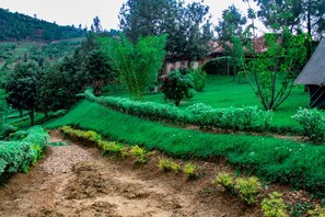 Jardín