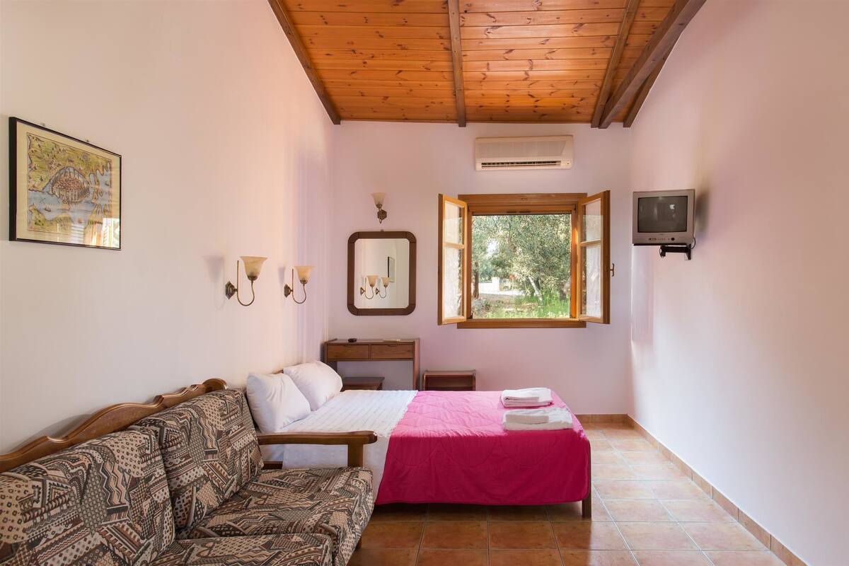 Un dormitorio con cama, sofá, ventana, aire acondicionado y televisor.