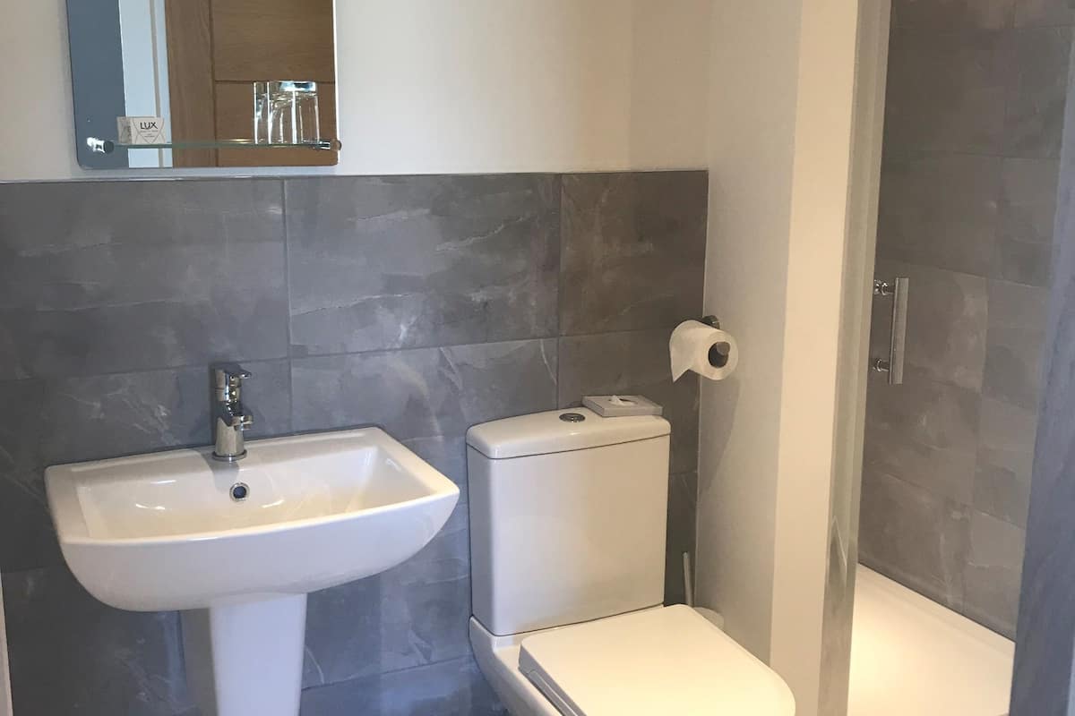 deluxe double or twin room, private bathroom | bathroom | shower, hair dryer, towels