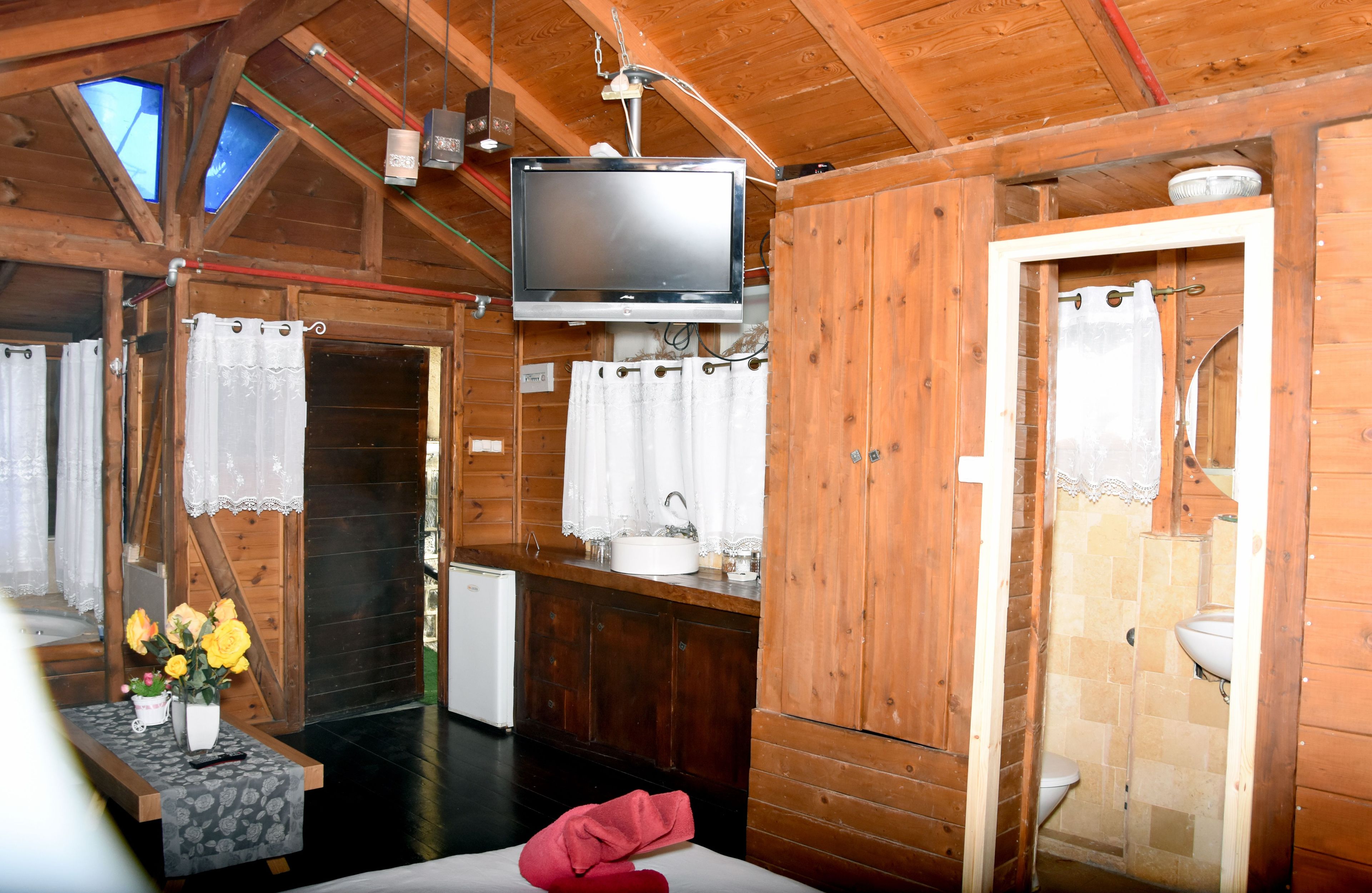 Habitación de cabaña de madera con televisión, una mesita con flores, un lavamanos y una zona de ducha.
