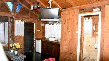 A wooden cabin room with a television, a small table with flowers, a sink, and a shower area.