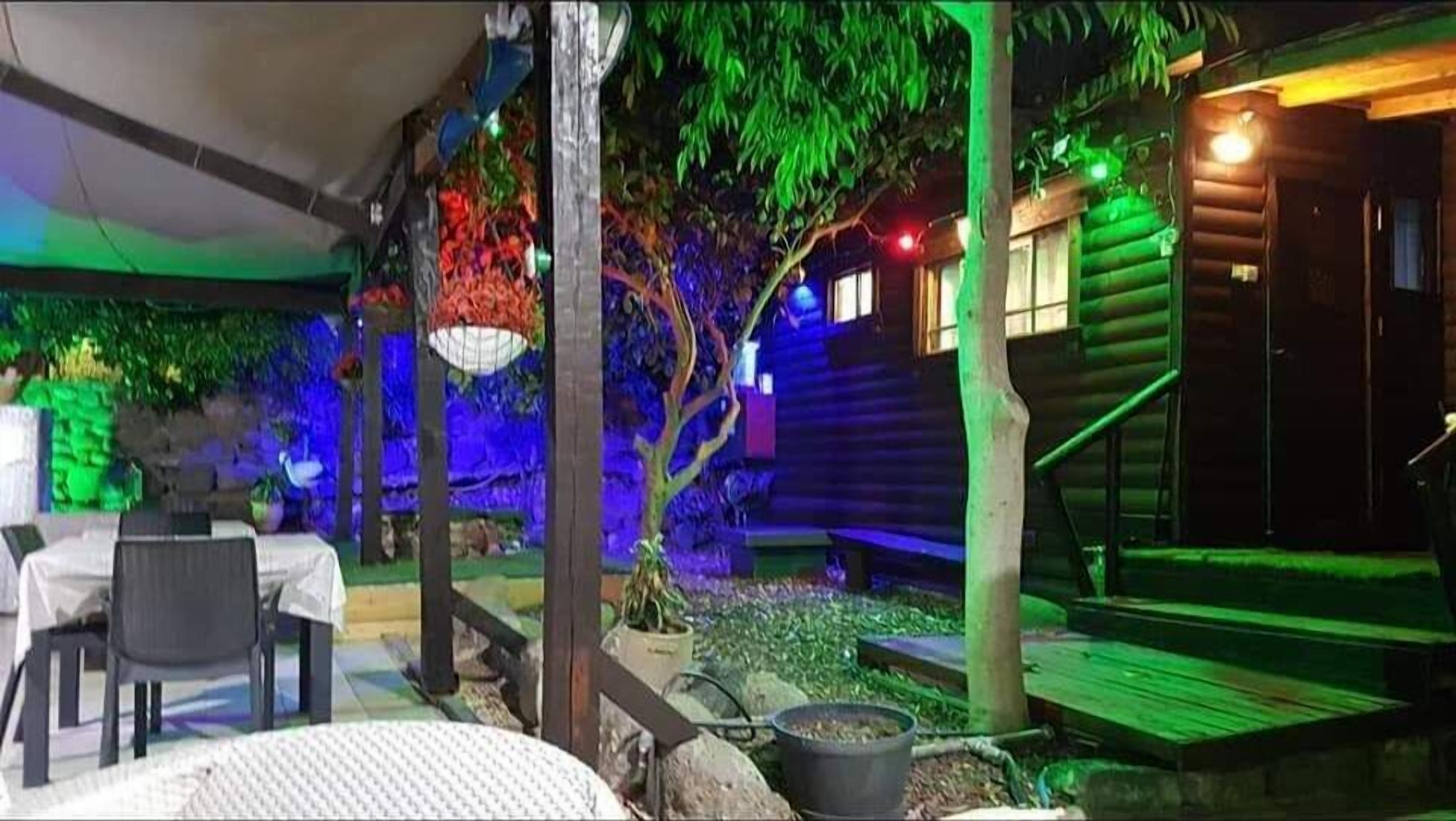 An outdoor patio area with a dining table and chairs, a wooden staircase, and a small garden with a tree and potted plants.