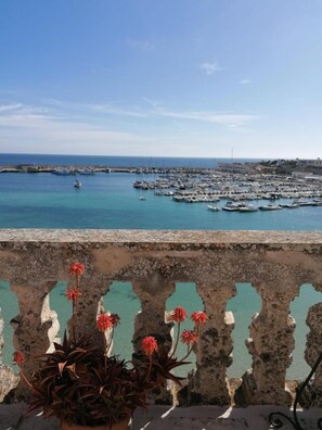 A coastal marina with boats docked, a clear sky, and a rocky foreground with red flowers. - B&B Centro Storico (Otranto)