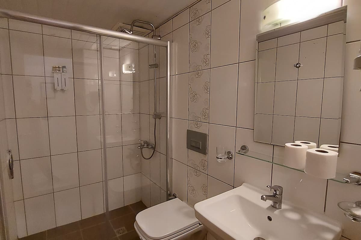 standard triple room | bathroom | shower, free toiletries, hair dryer, slippers