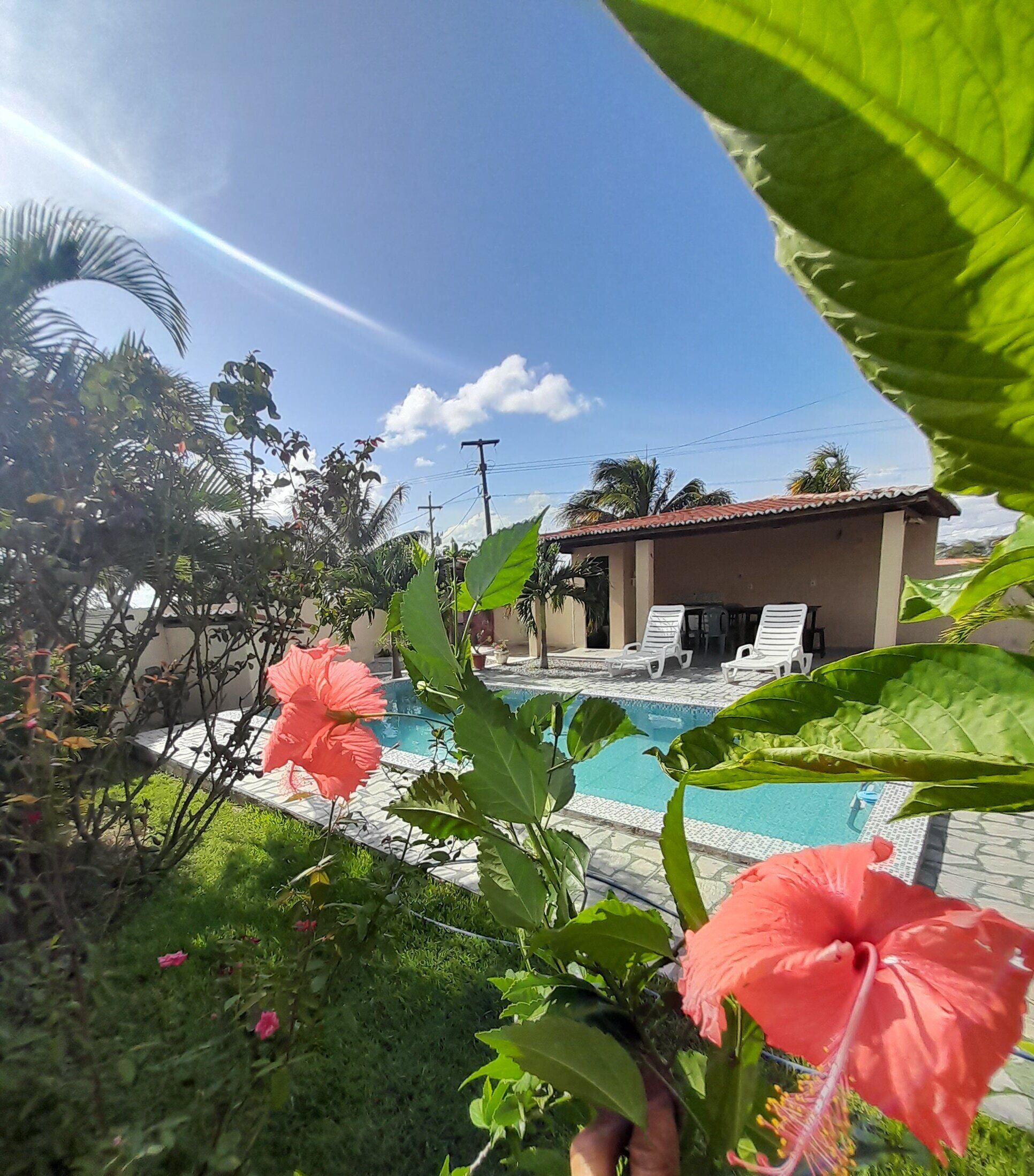 تلفزيون بشاشة مسطحة