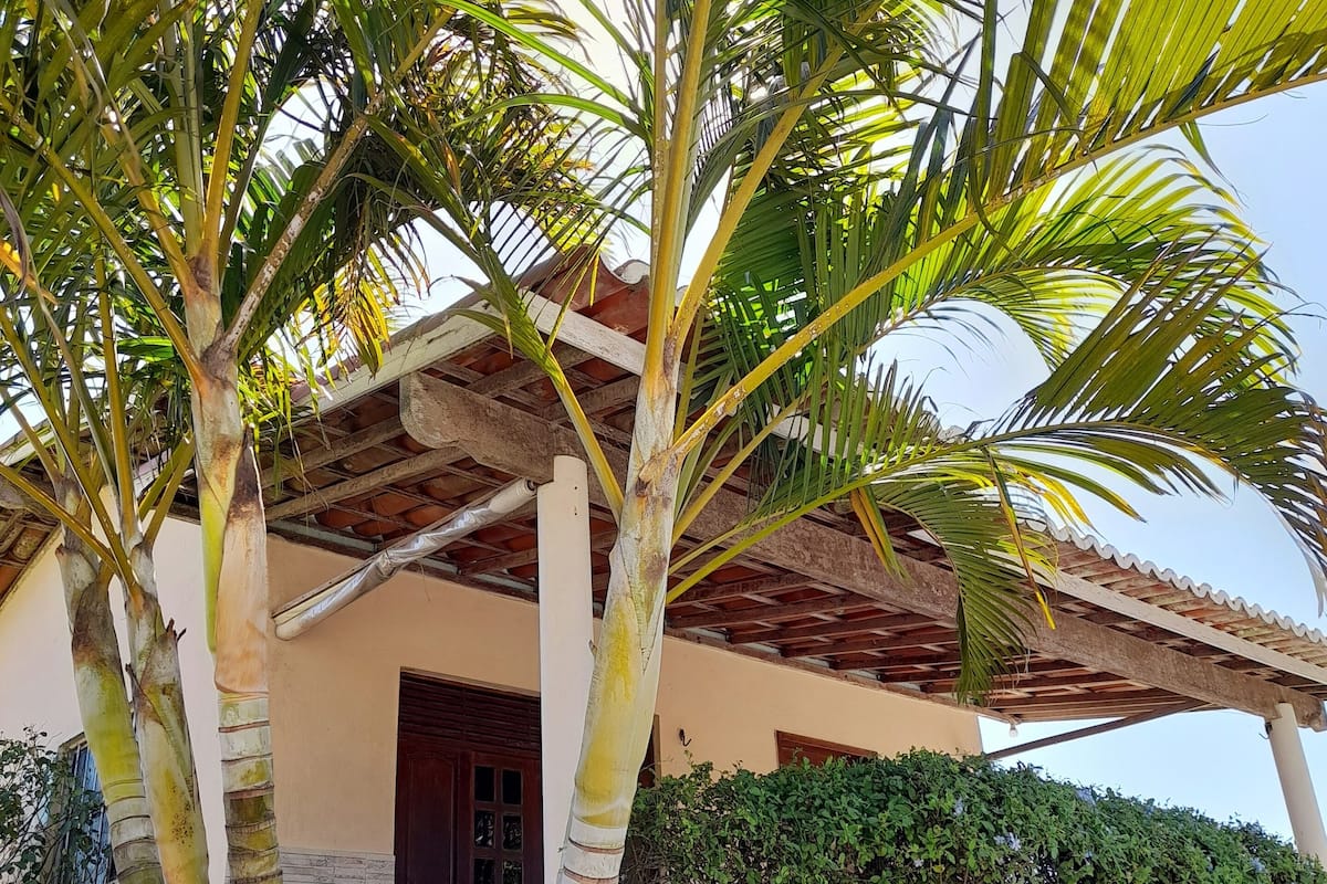 A building with a covered patio area, palm trees, and a hedge.