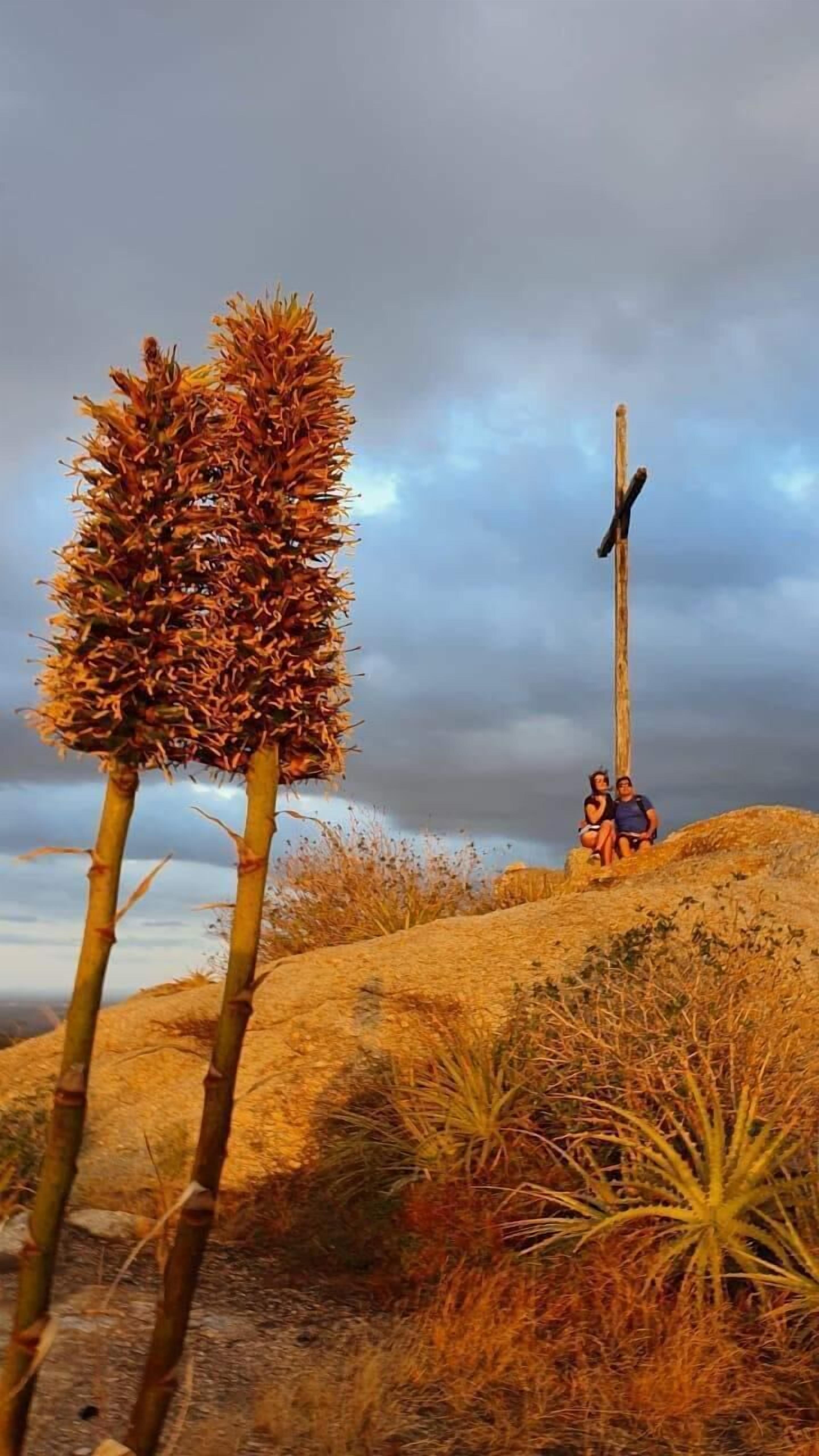 Un paisaje natural con una cruz de madera, vegetación seca y dos personas sentadas en una colina.