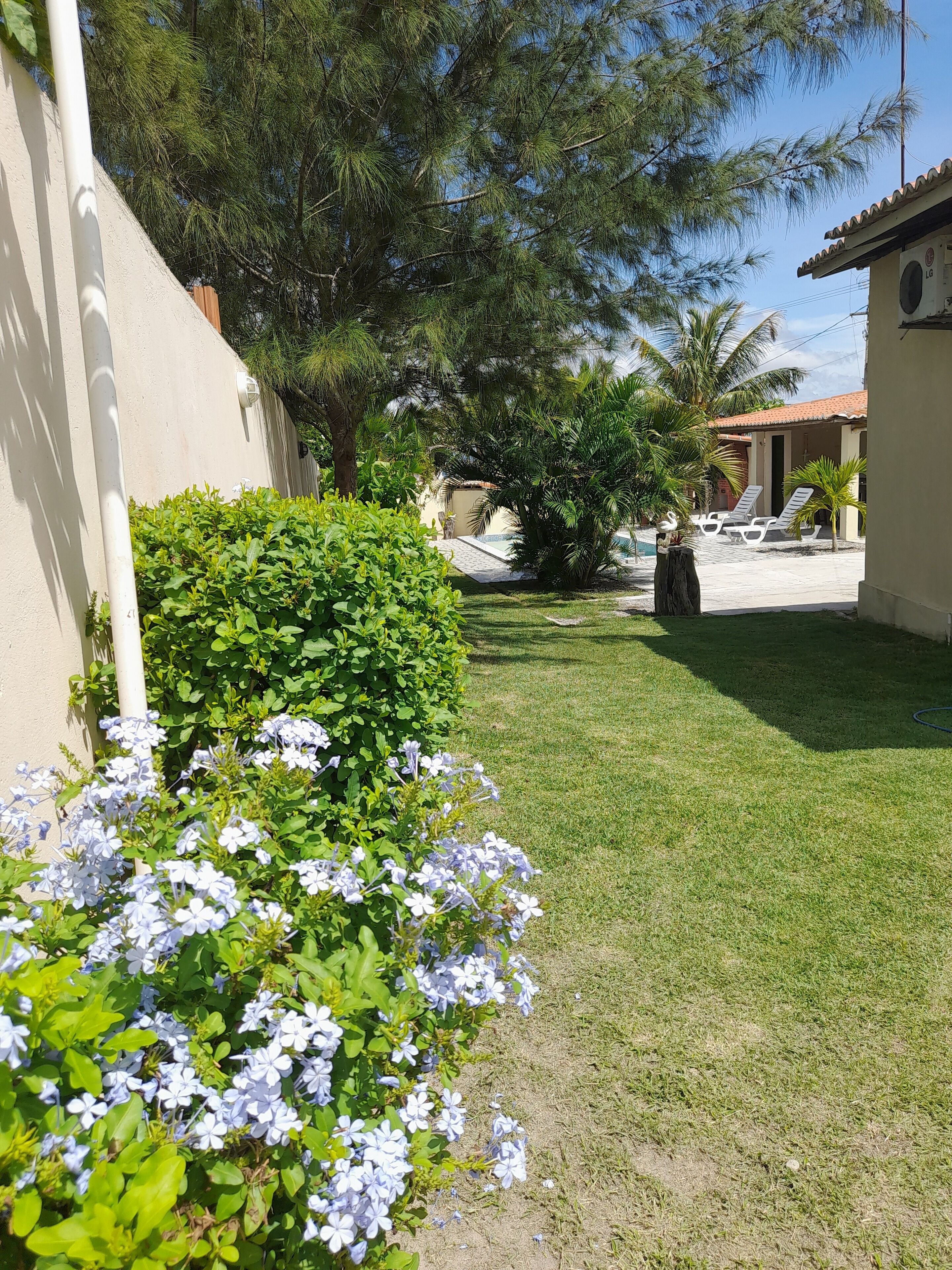 Un jardin bien entretenu, avec une pelouse, différentes sortes d’arbustes et un petit groupe de fleurs bleues.