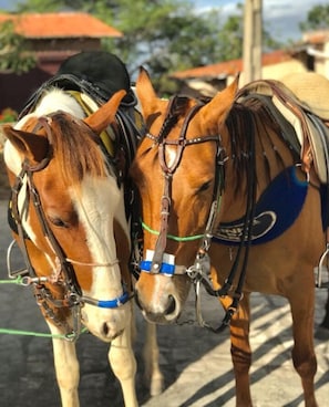 Horse riding