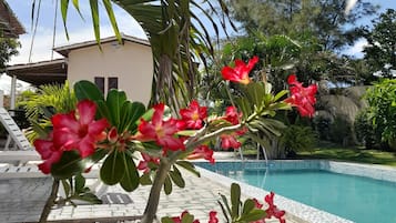 TV màn hình phẳng