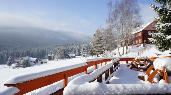 Terrace/patio - Pension Svoboda (Pec pod Snezkou)