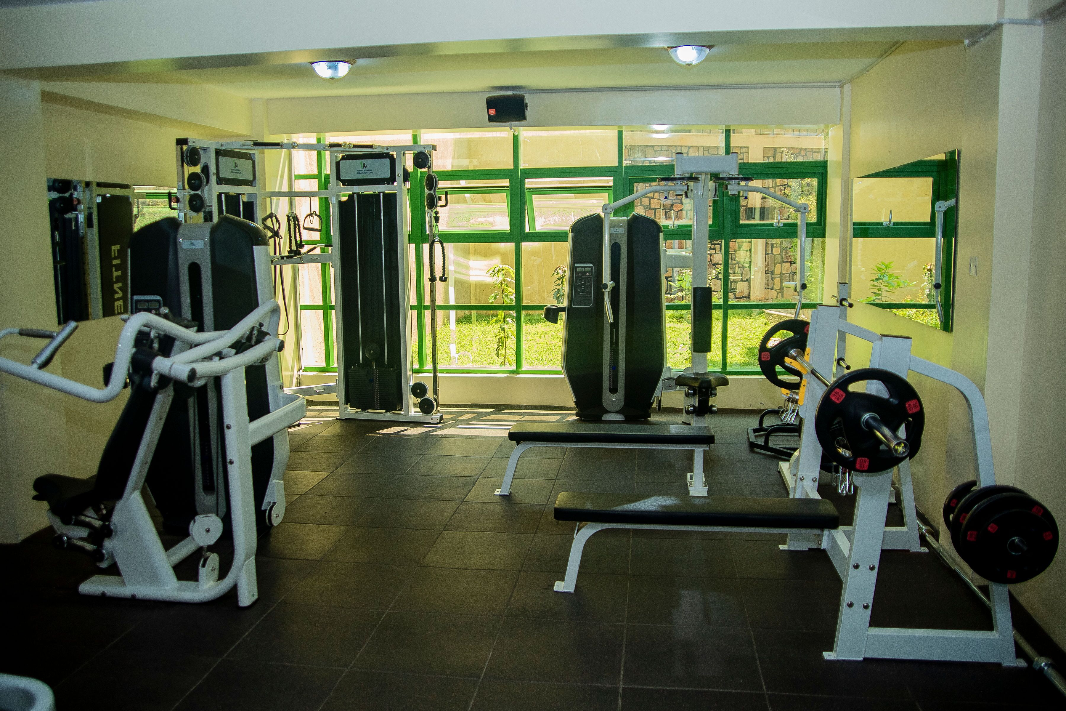 A gym with various exercise machines, a bench, and a window with a view of greenery.