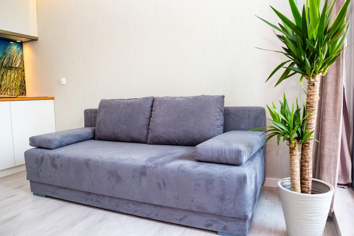 Ein graues Sofa mit Kissen, einer Topfpflanze und einem Vorhang.