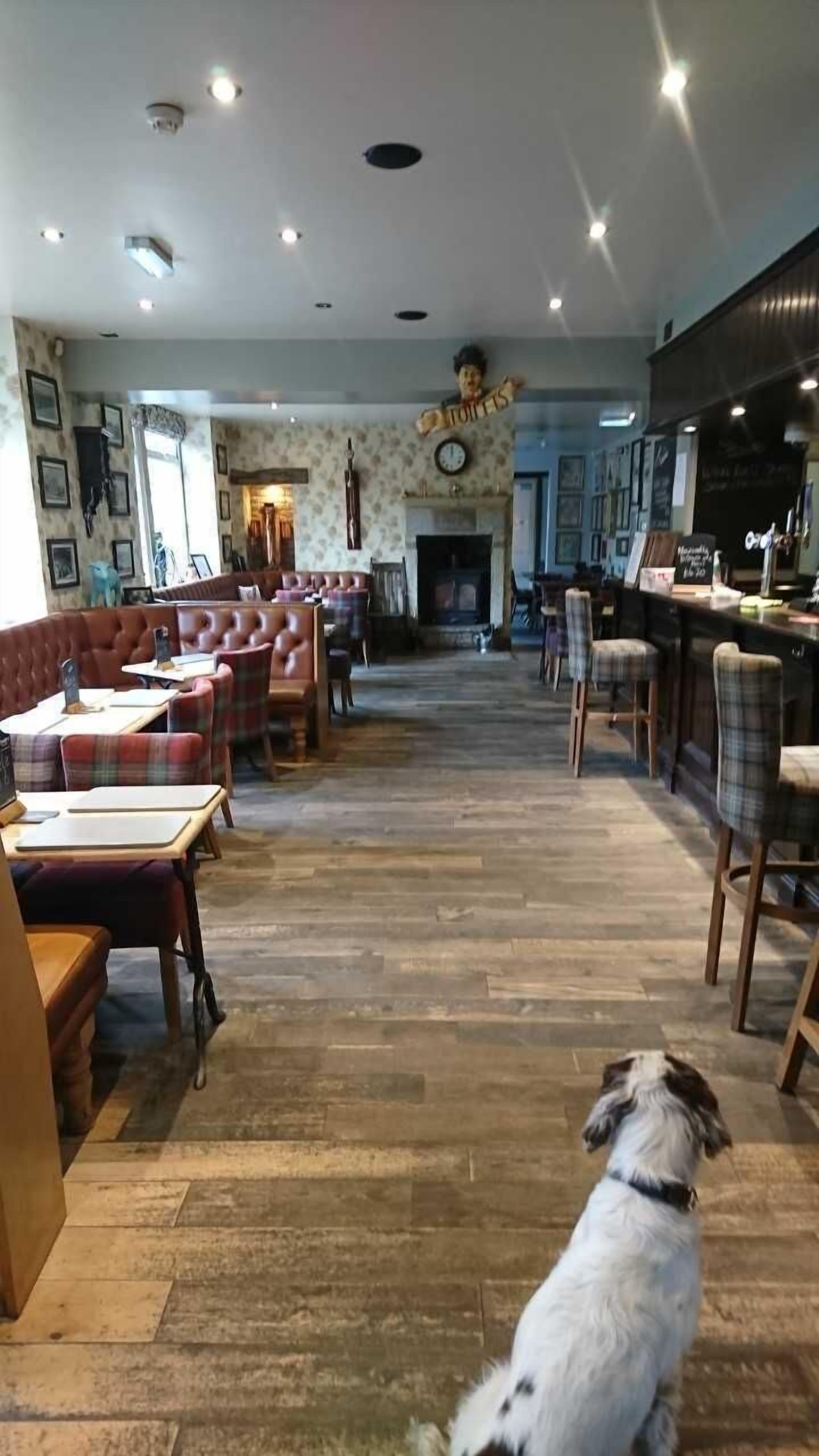 Bar (in der Unterkunft)