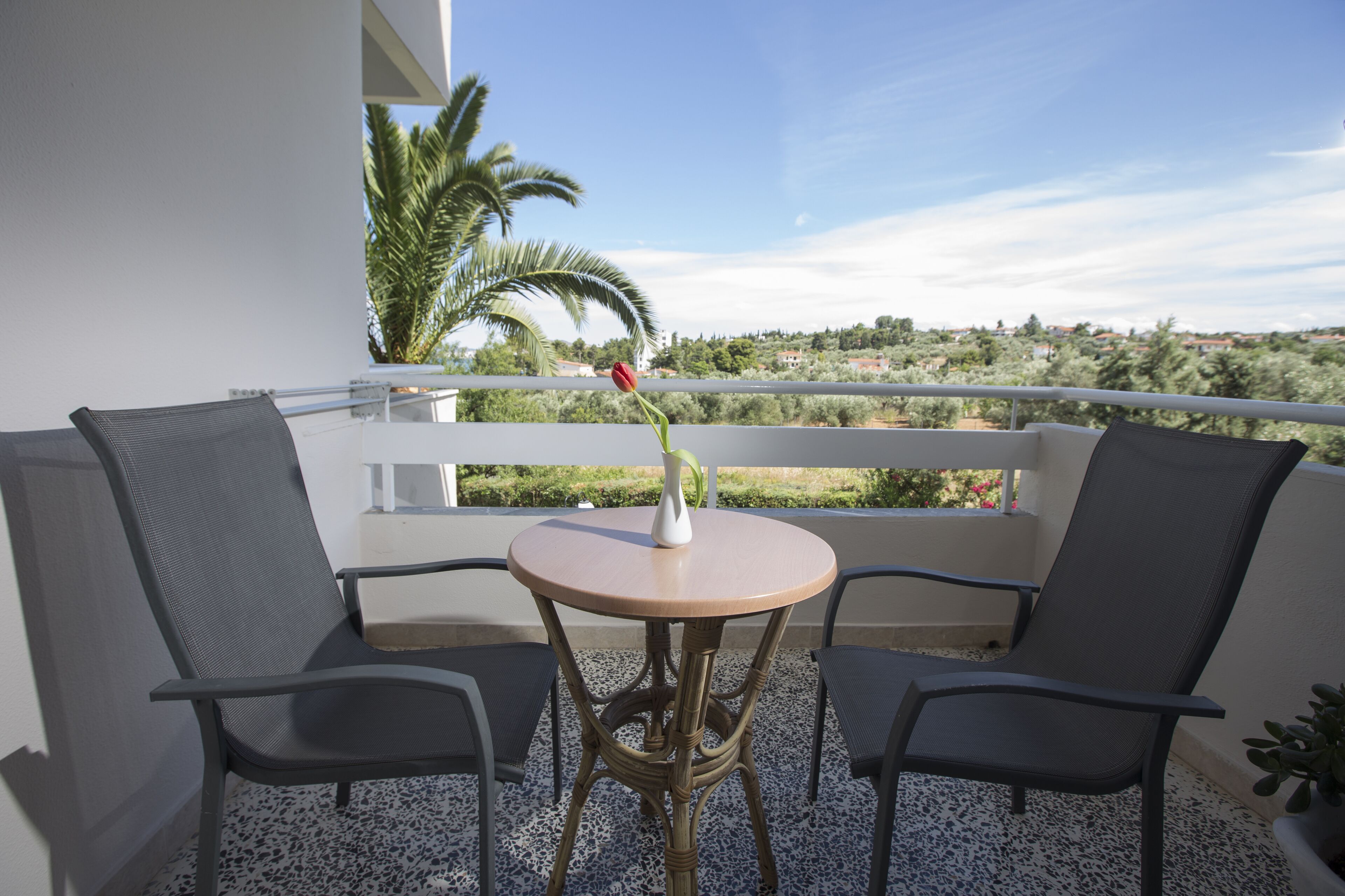 minibar, in-room safe, iron/ironing board, free wifi