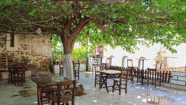 An outdoor seating area with wooden tables and chairs under a tree, stone walls, and a view of the street. - White City Pension (Antalya)