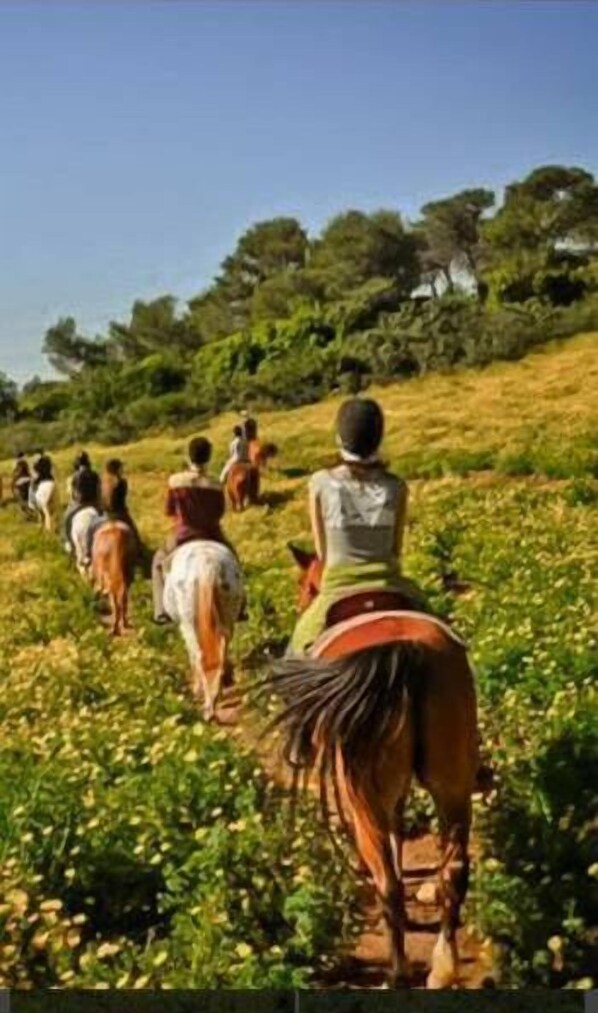 Horseback riding