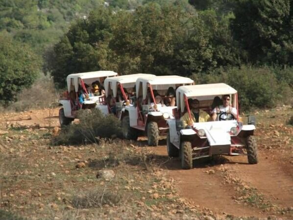 A group of off-road vehicles on a dirt path surrounded by greenery.