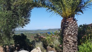 A garden with a palm tree, rocks, and pink flowers. - Les Pavillons du Belvédère (Porto-Vecchio)