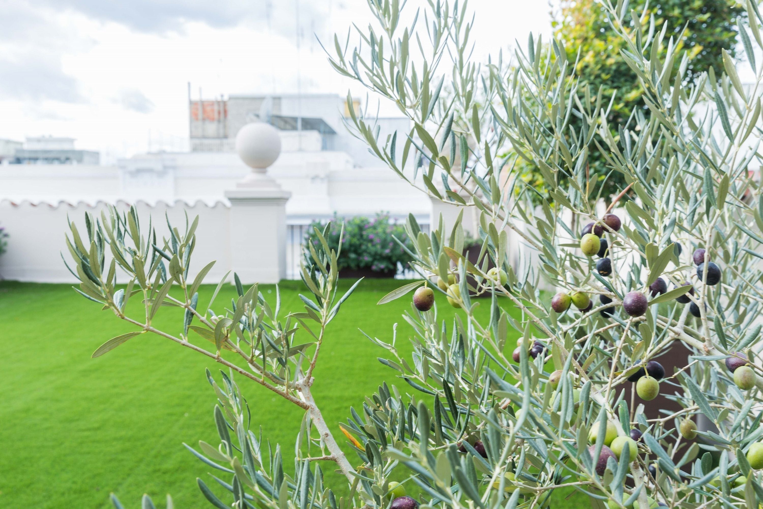 Photo - 200s & Terrace