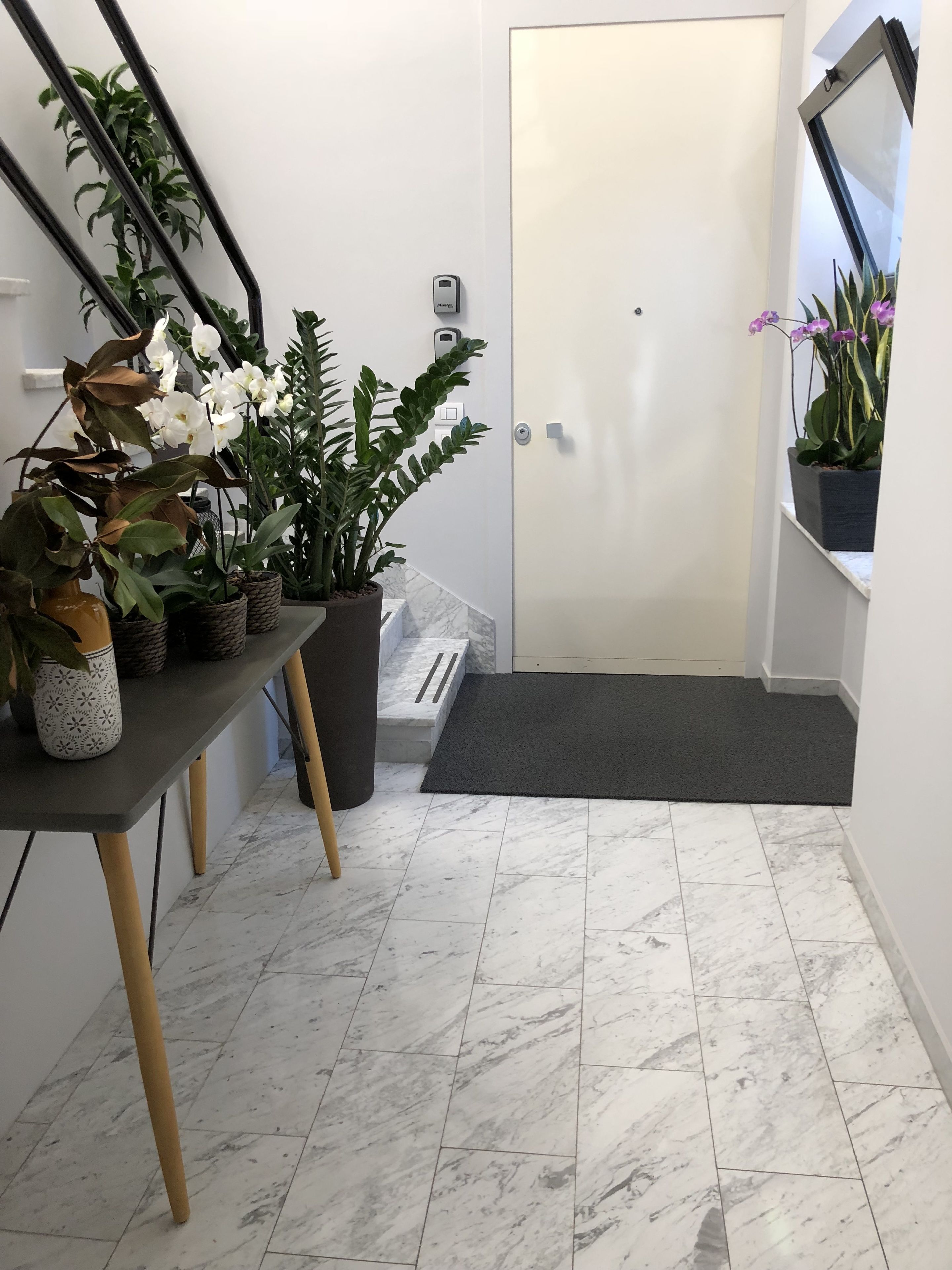 Photo - 200s & Terrace