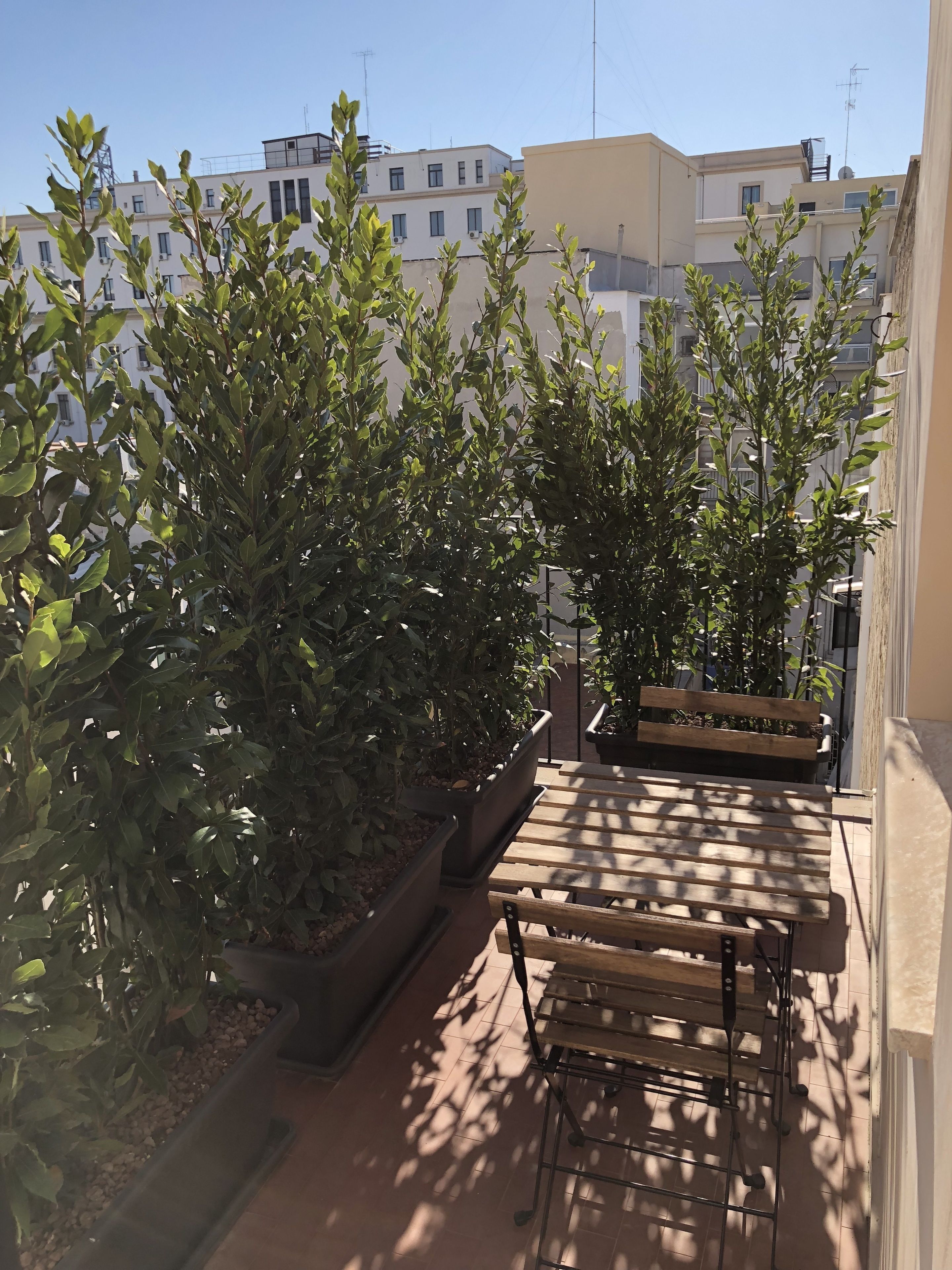 Standard-Doppelzimmer | Terrasse/Patio