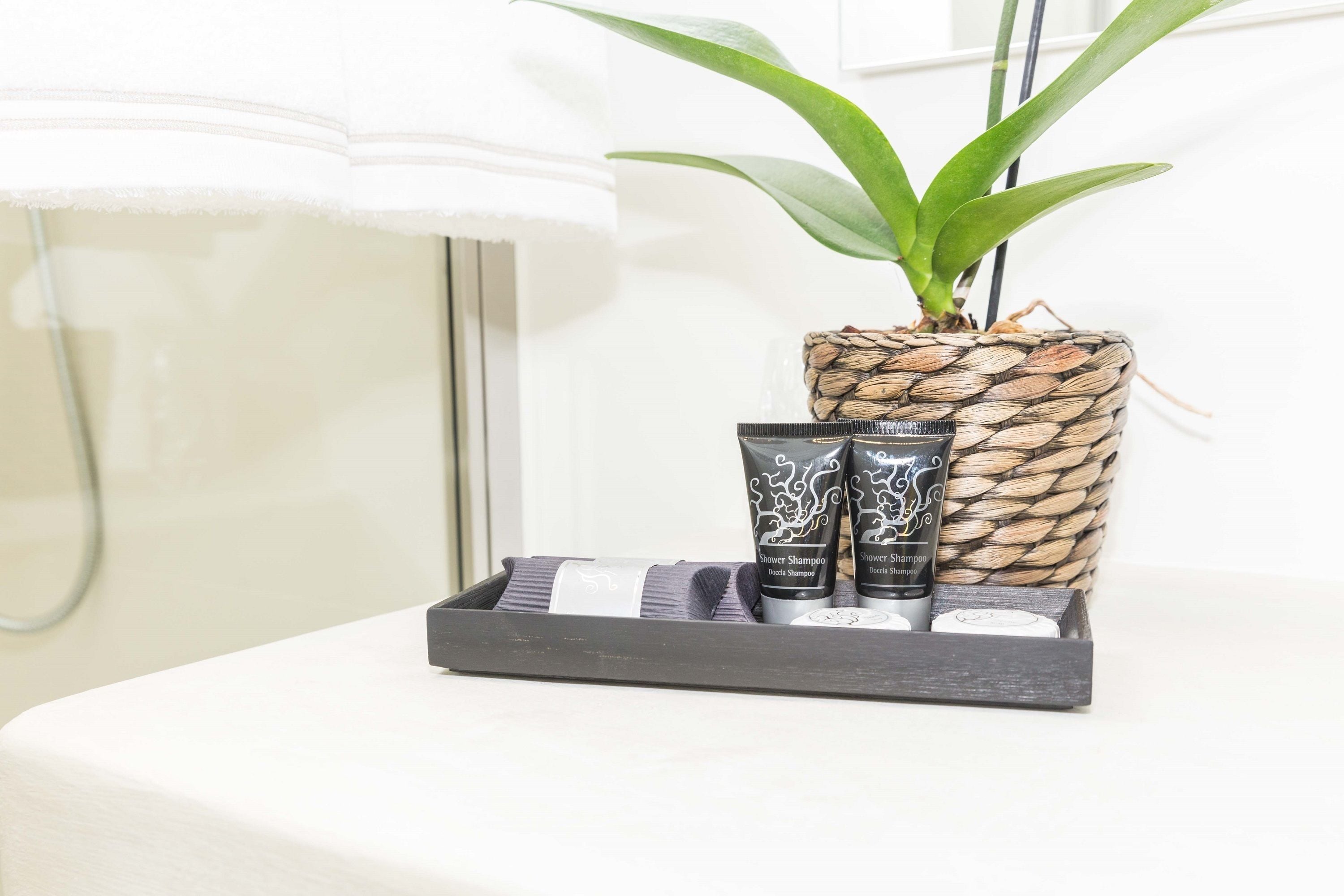 Photo - 200s & Terrace