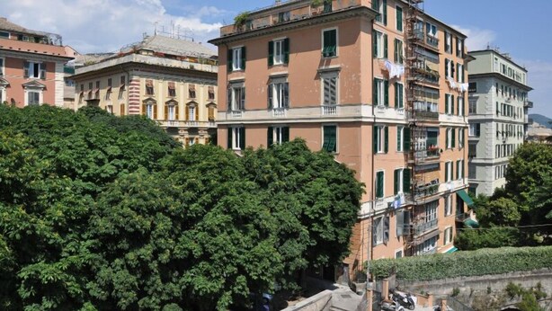 A multi-story building with balconies and a dense green tree in the foreground. - B&B Il Ciottolo (Genoa)