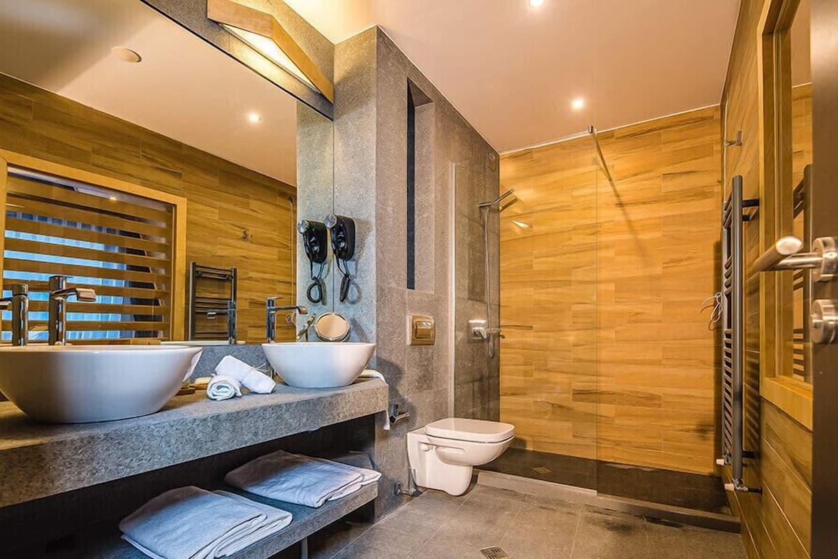 deluxe double room | bathroom | shower, free toiletries, hair dryer, bathrobes