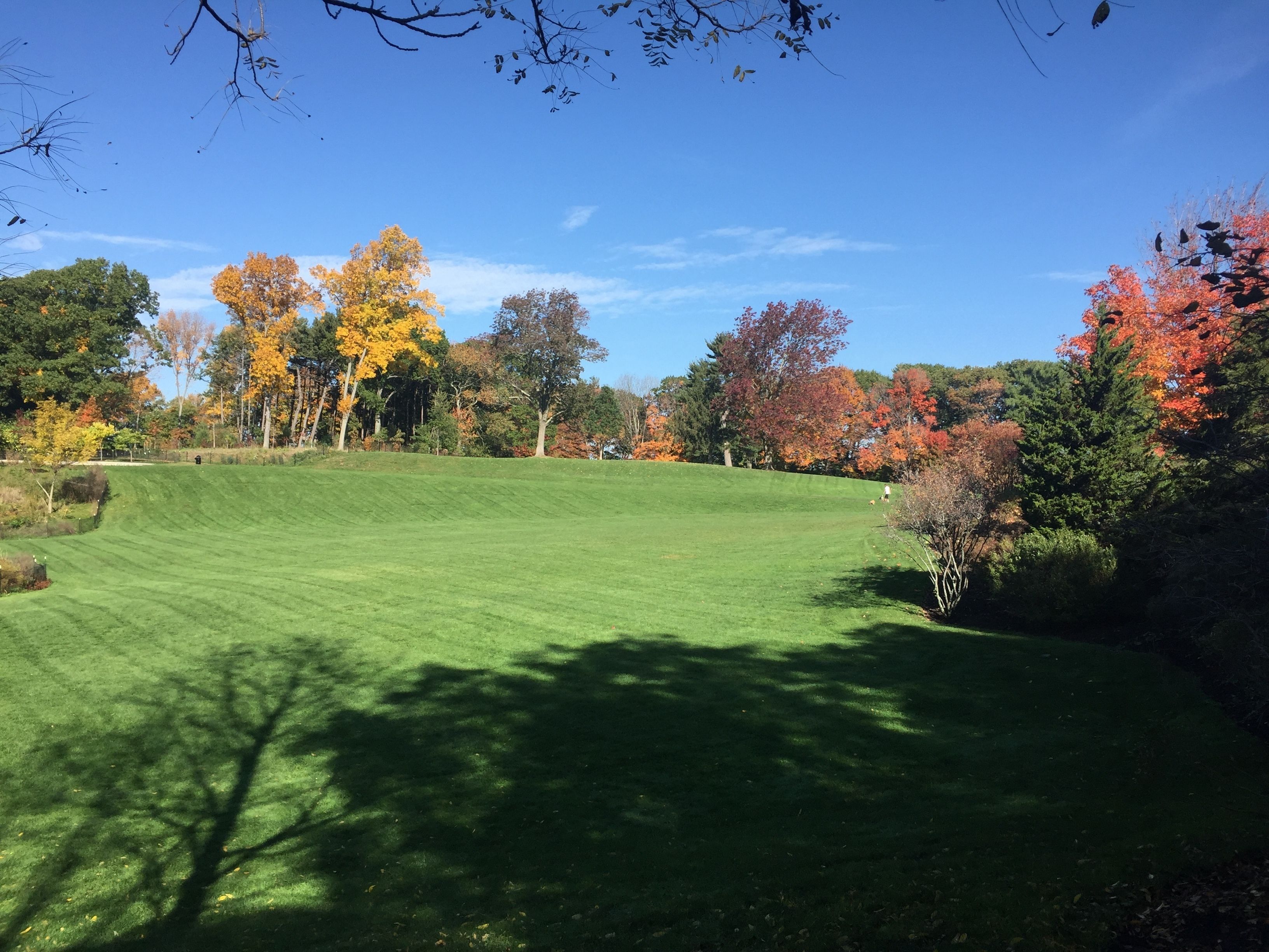 A well-maintained grassy area with trees displaying autumn foliage.