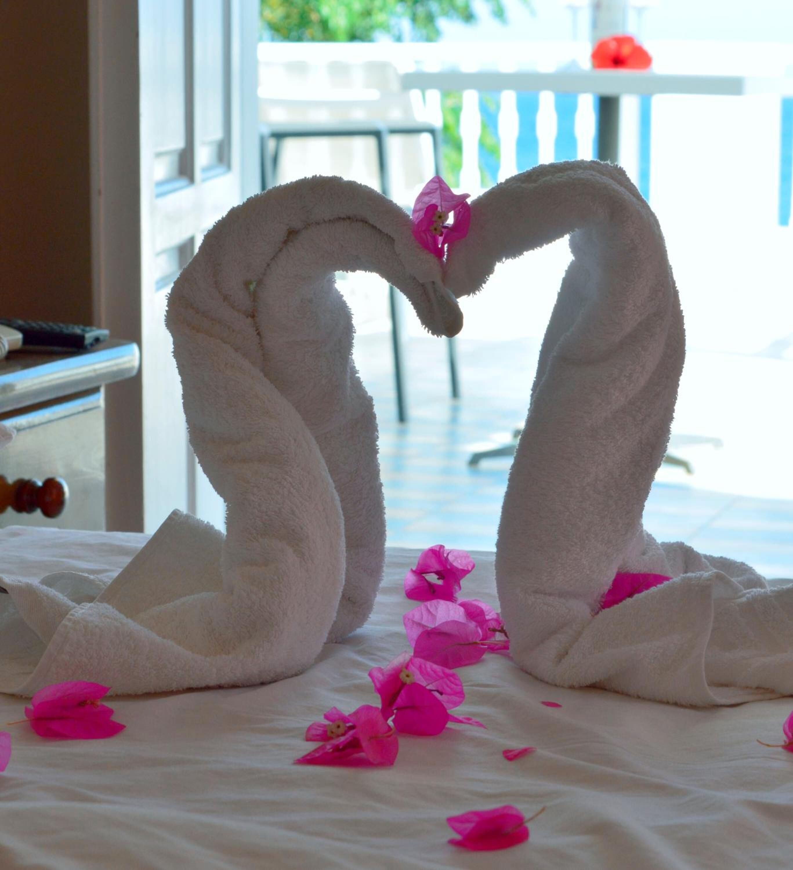 Foto - Dolphins Apartments