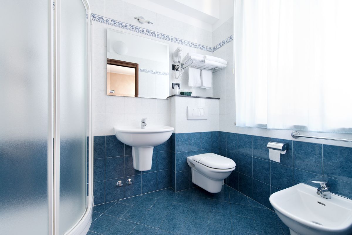 shower, free toiletries, hair dryer, bidet