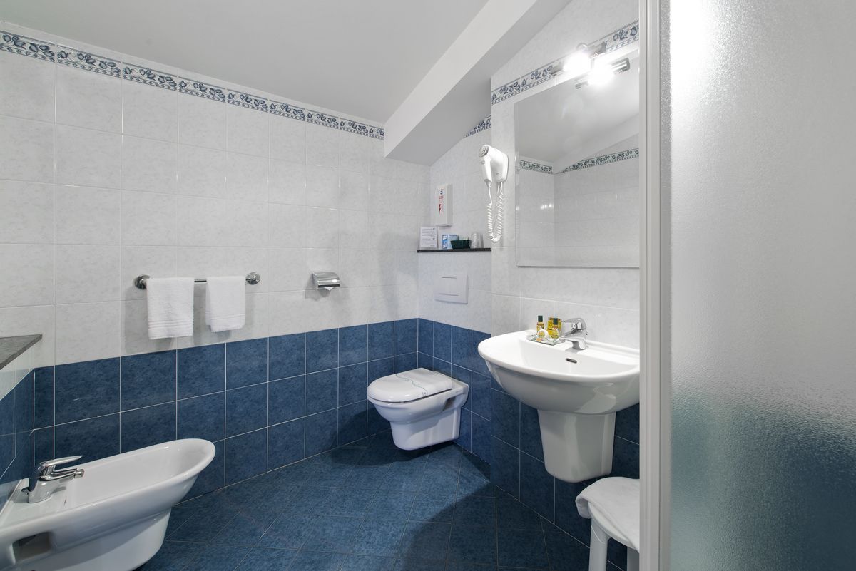 shower, free toiletries, hair dryer, bidet