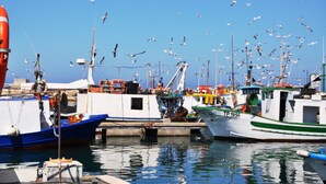 A marina with multiple boats docked, a clear blue sky, and seagulls flying. - B&B MaryJosè (Trapani)