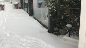 A snow-covered outdoor area with a glass enclosure, possibly a greenhouse or a conservatory, surrounded by snow-laden trees and potted plants. - JustB (Edinburgh)