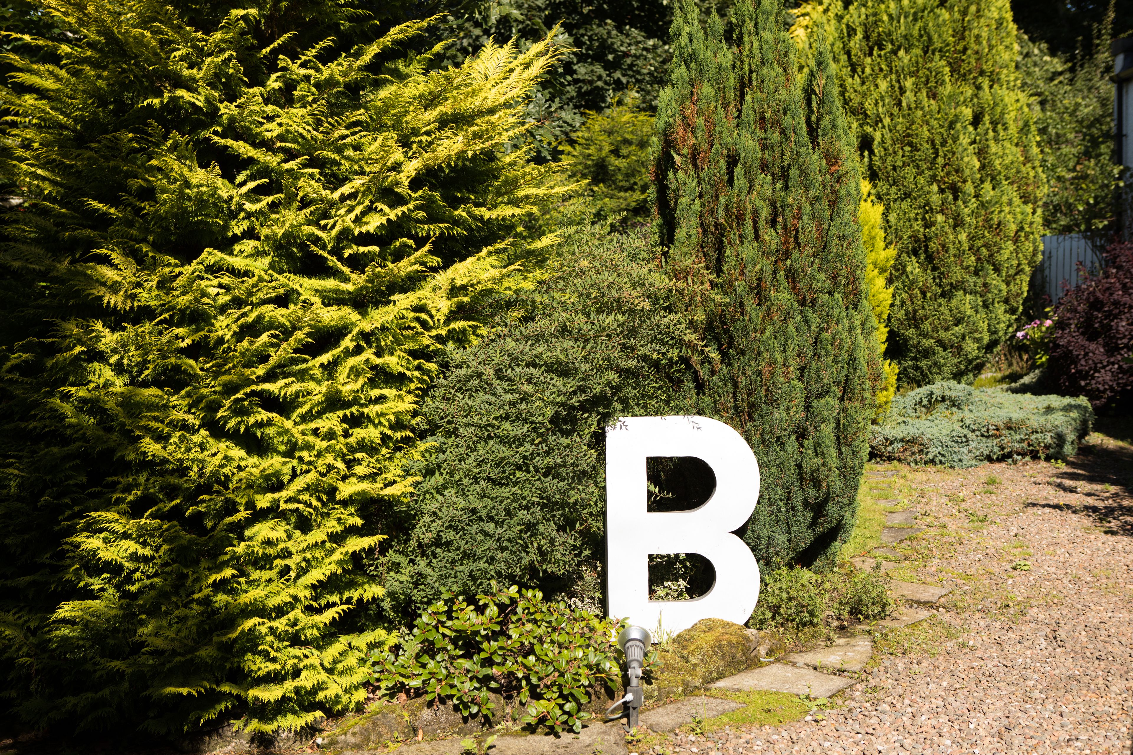 Photo - JustB Edinburgh